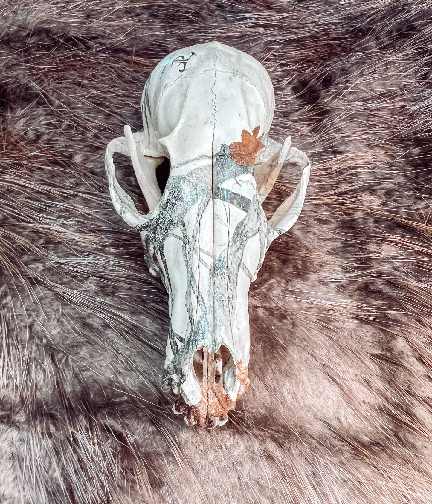 Hydro dipped Red Fox Skull
