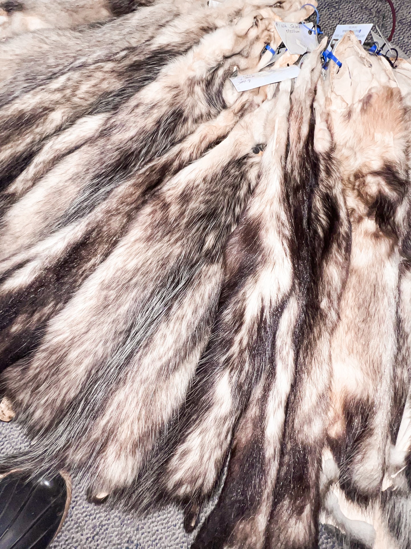 Garment Tanned Opossum Pelt