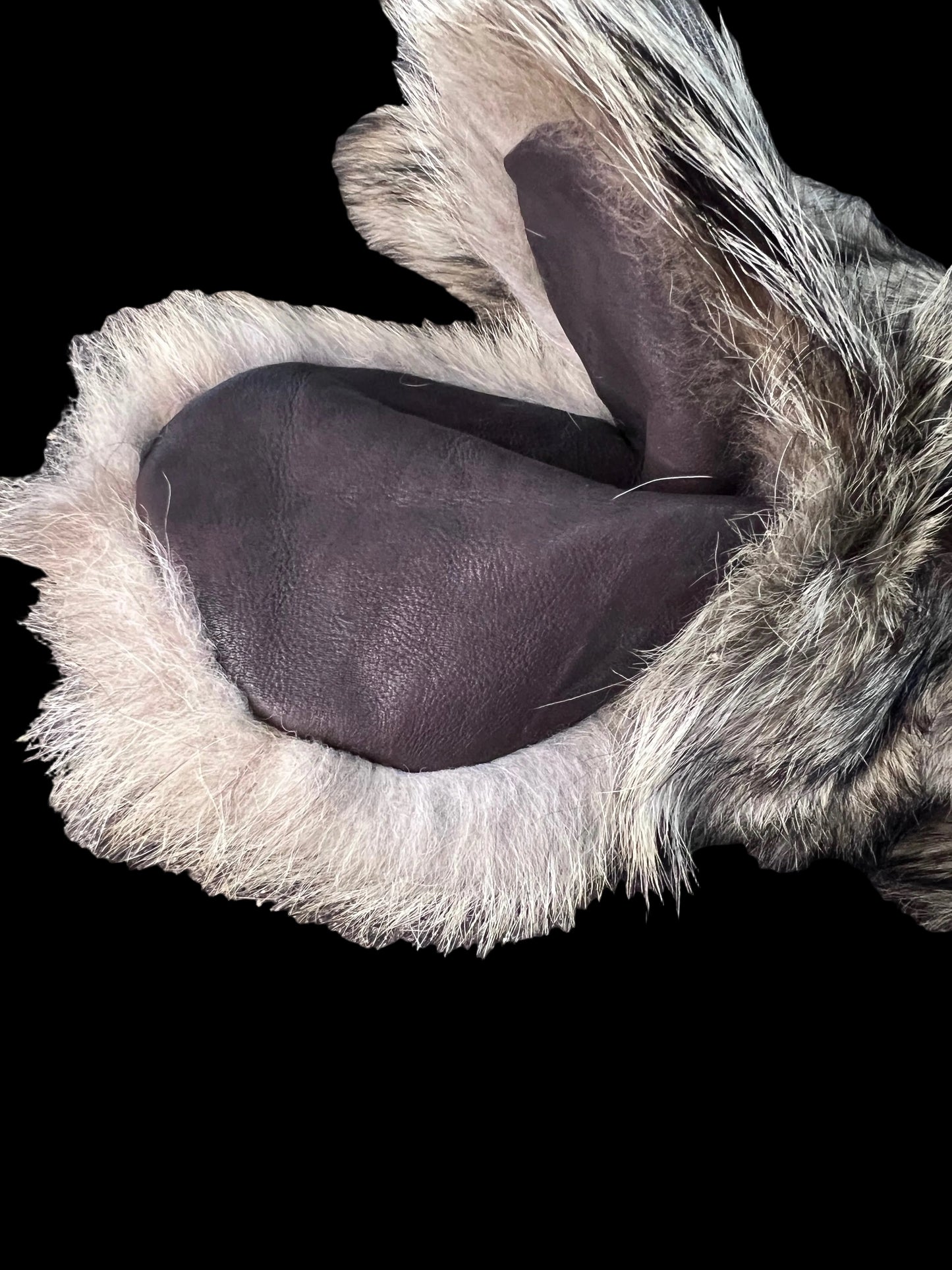Coyote Mittens