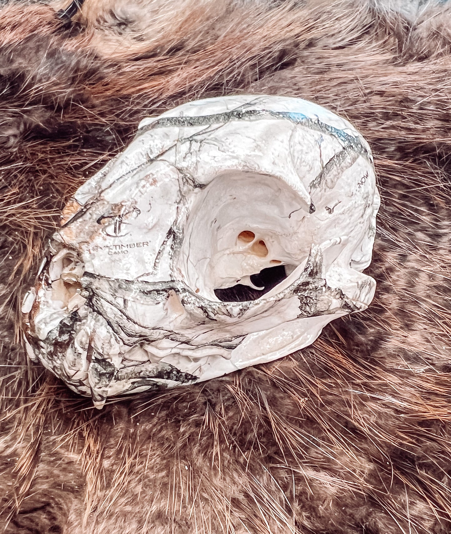 Hydro dipped Bobcat Skull