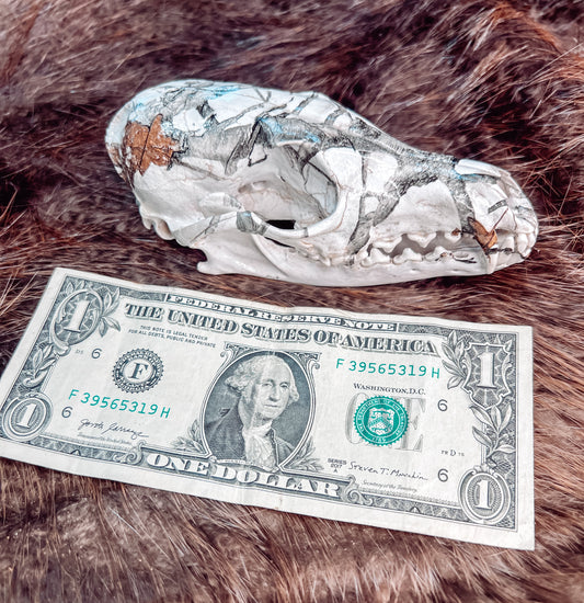 Hydro dipped Red Fox Skull