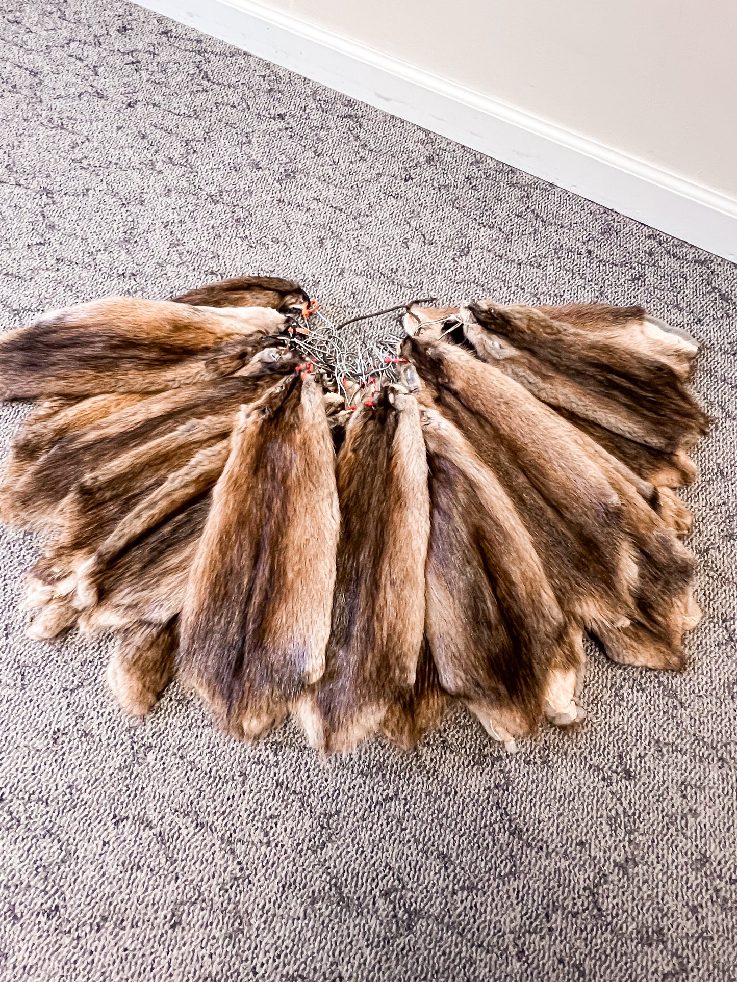 Garment Tanned Muskrat Pelt