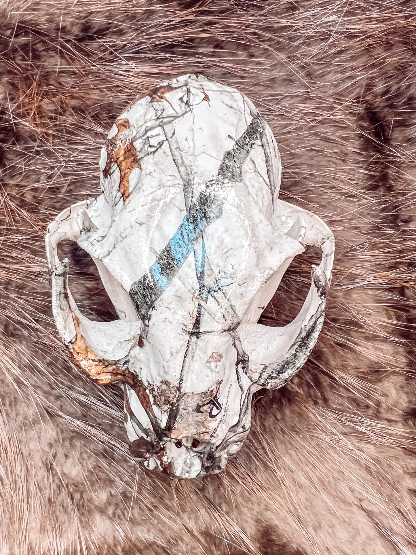 Hydro dipped Bobcat Skull