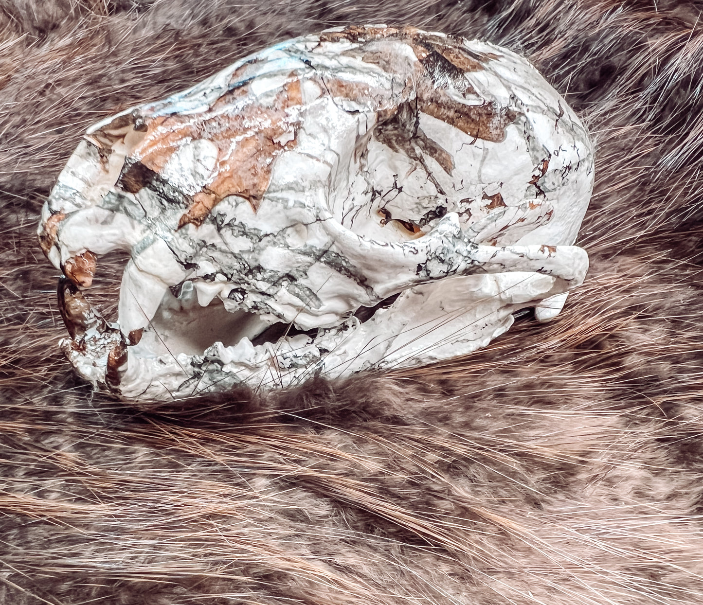 Hydro dipped Raccoon Skull