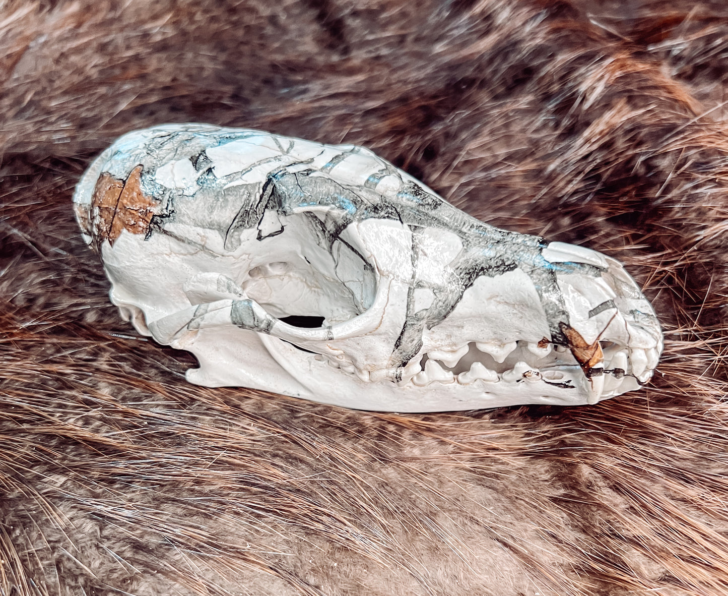Hydro dipped Red Fox Skull