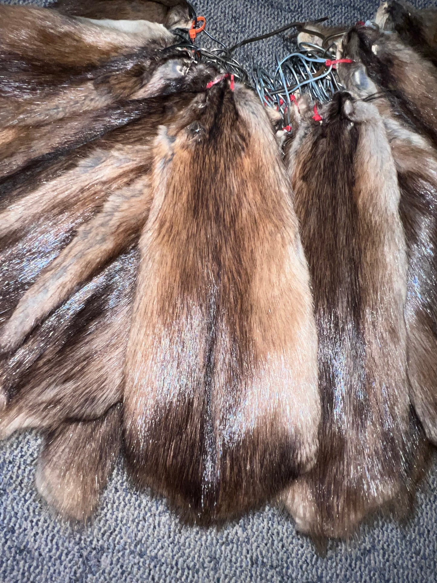 Garment Tanned Muskrat Pelt