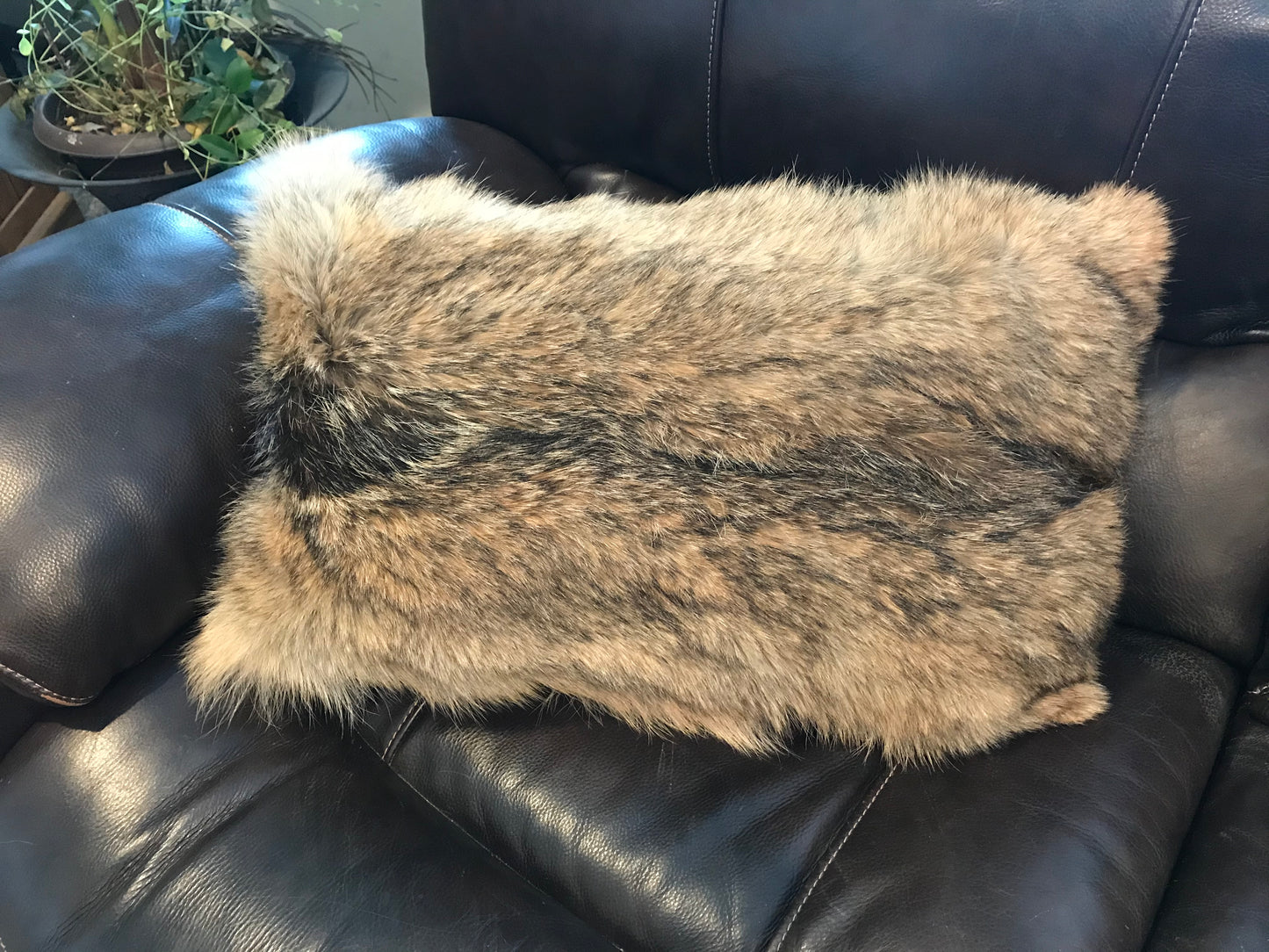 Coyote Pillow (Large)