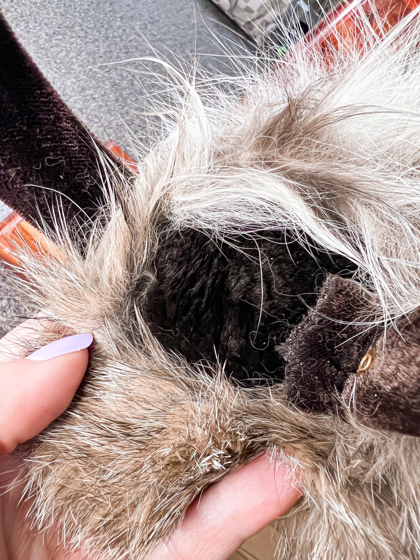 Bobcat Earmuffs