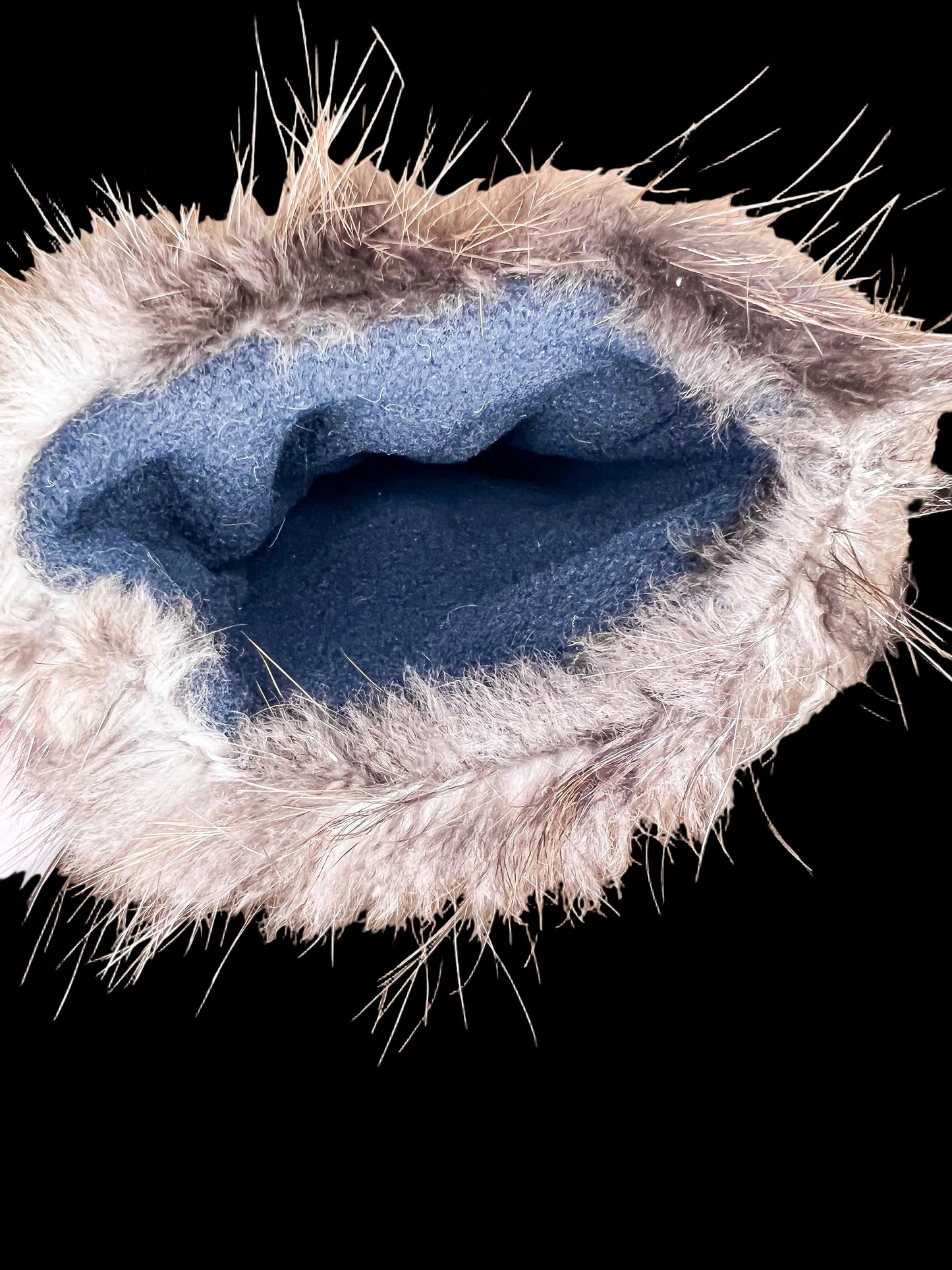 Coyote Mittens