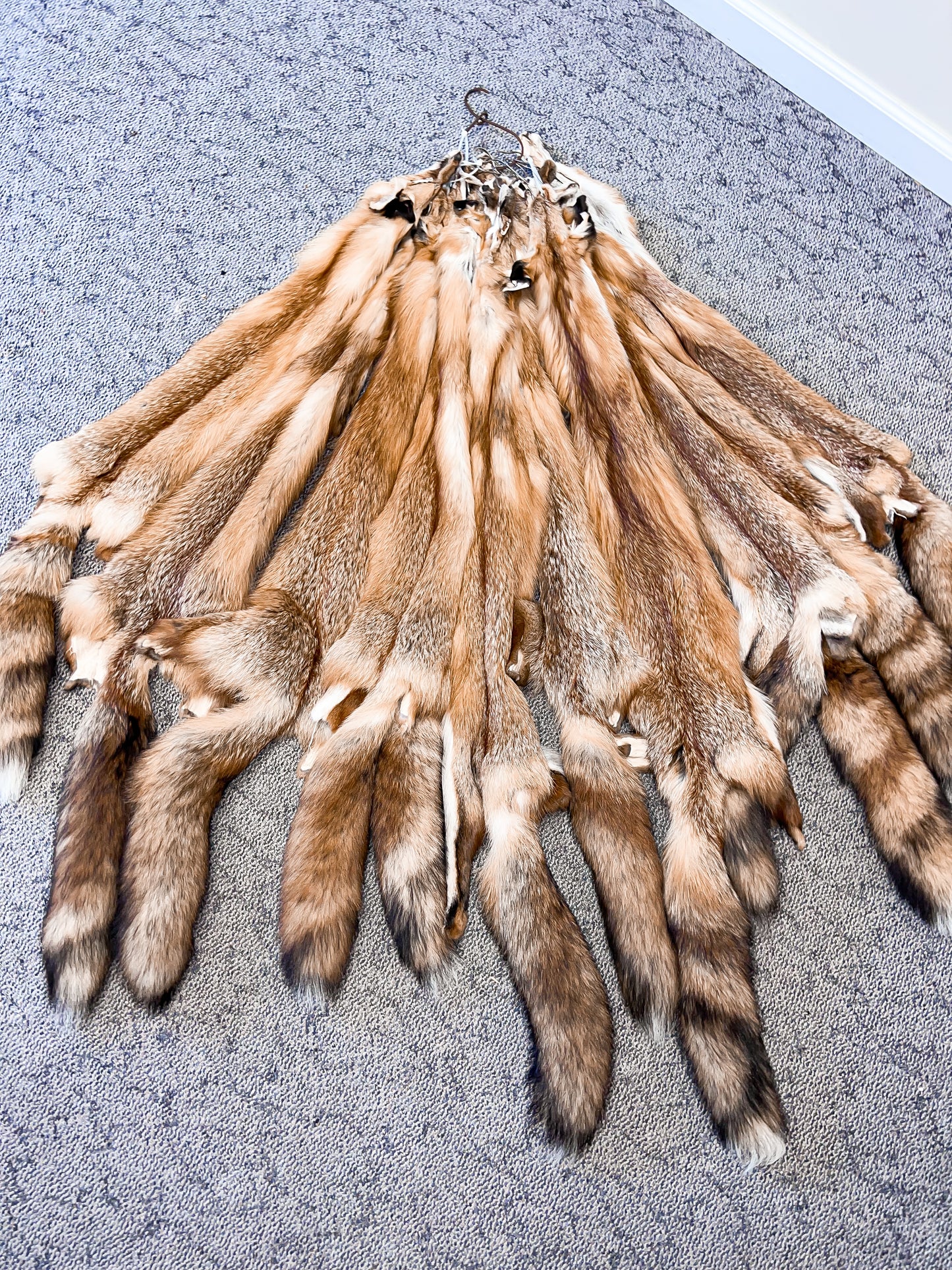 Garment Tanned Red Fox Pelts