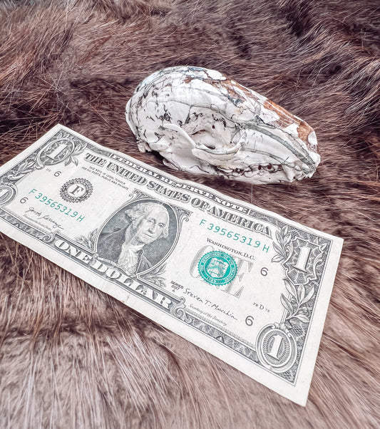 Hydro dipped Raccoon Skull