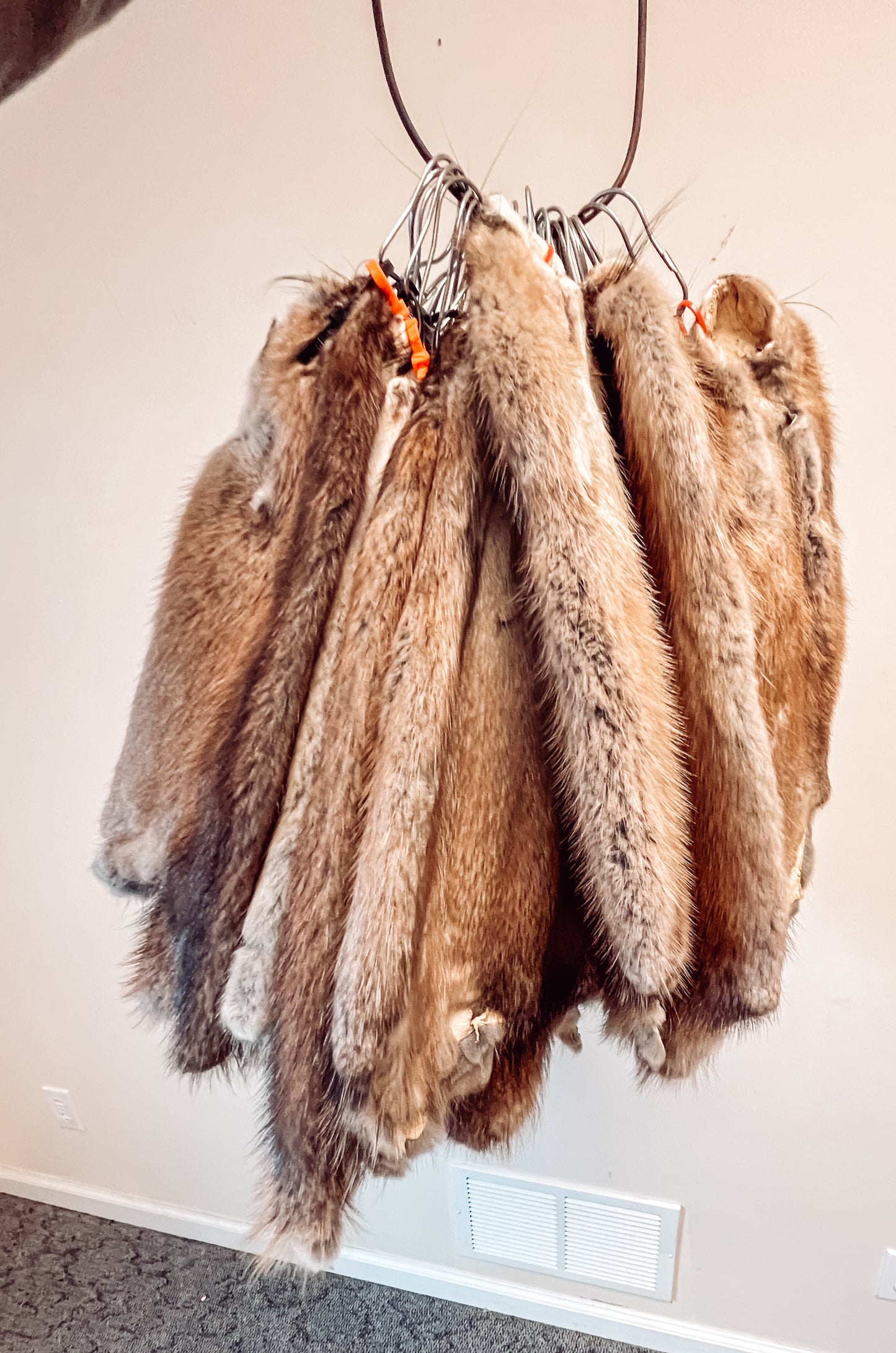 Garment Tanned Muskrat Pelt
