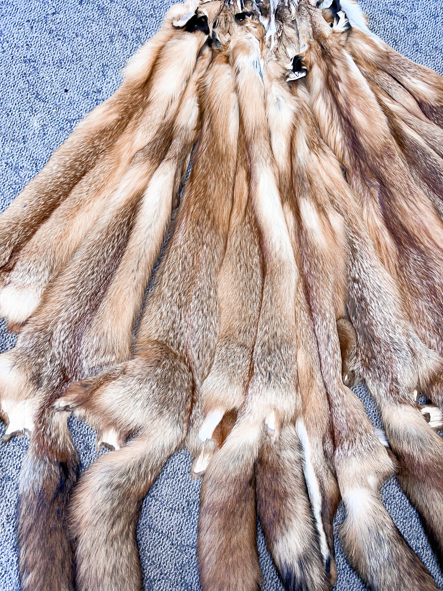 Garment Tanned Red Fox Pelts