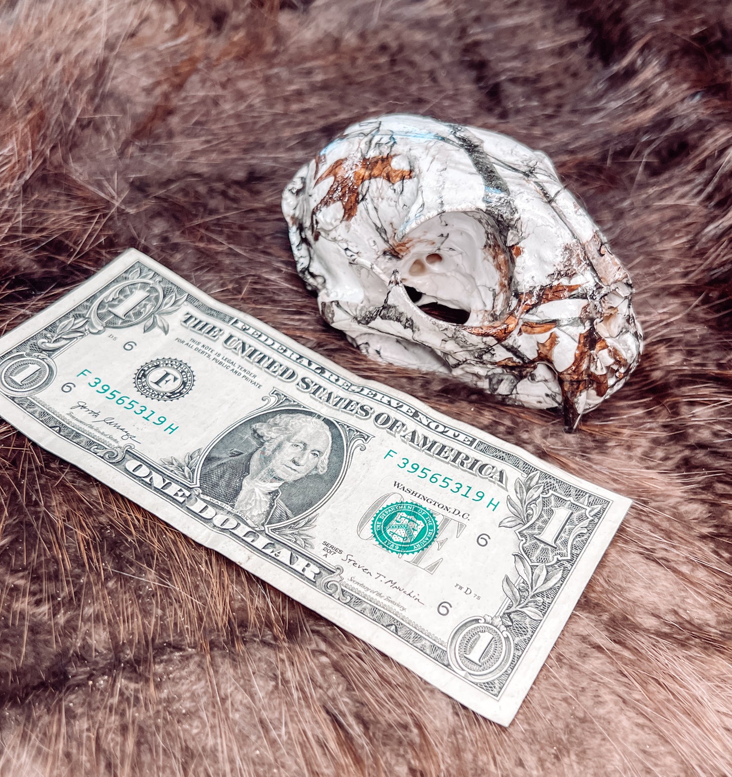 Hydro dipped Bobcat Skull