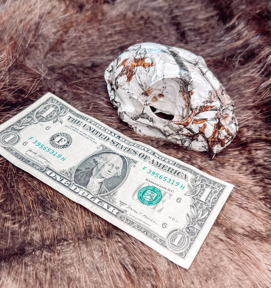 Hydro dipped Bobcat Skull