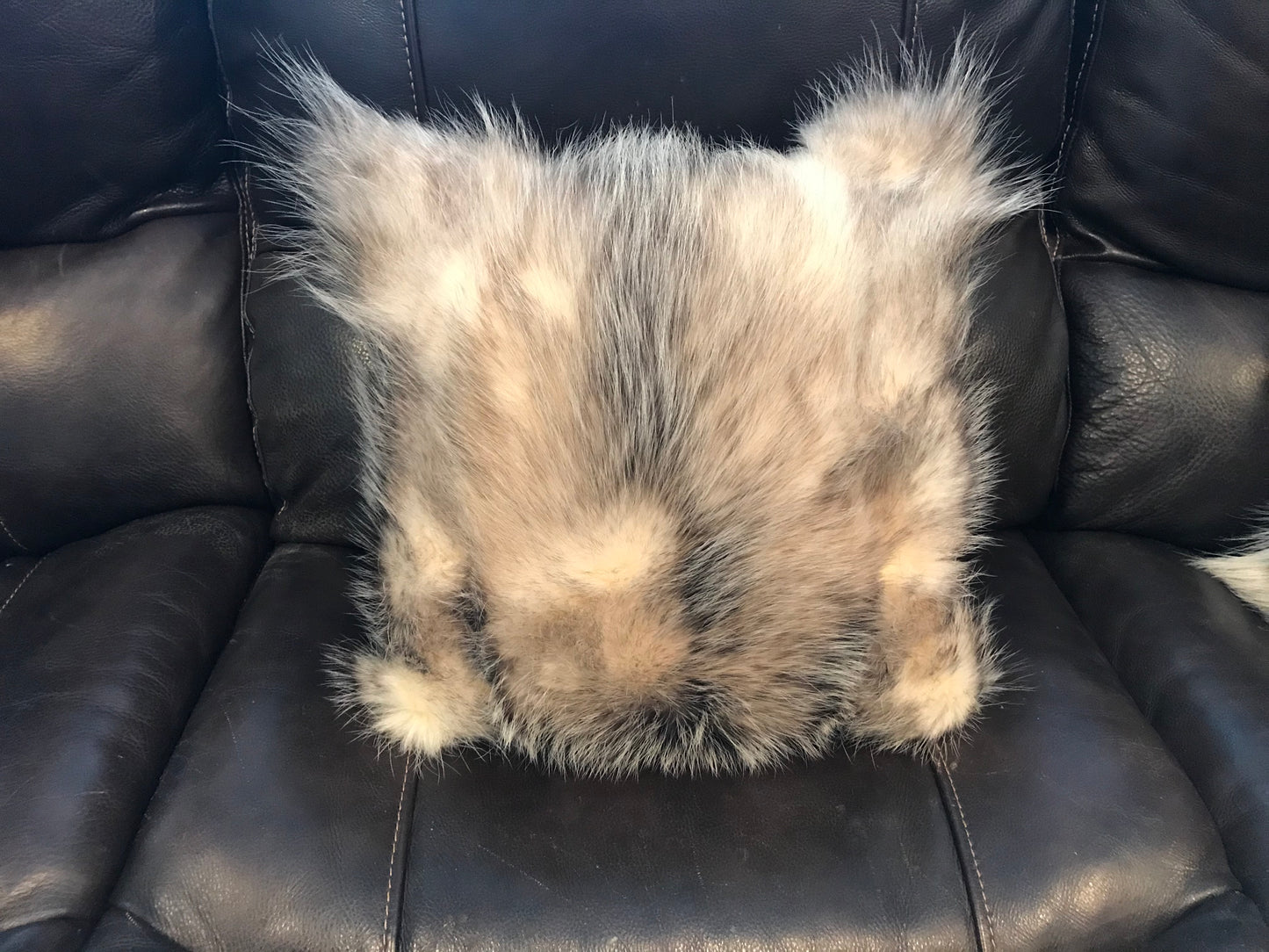 Opossum Throw Pillows (Small)