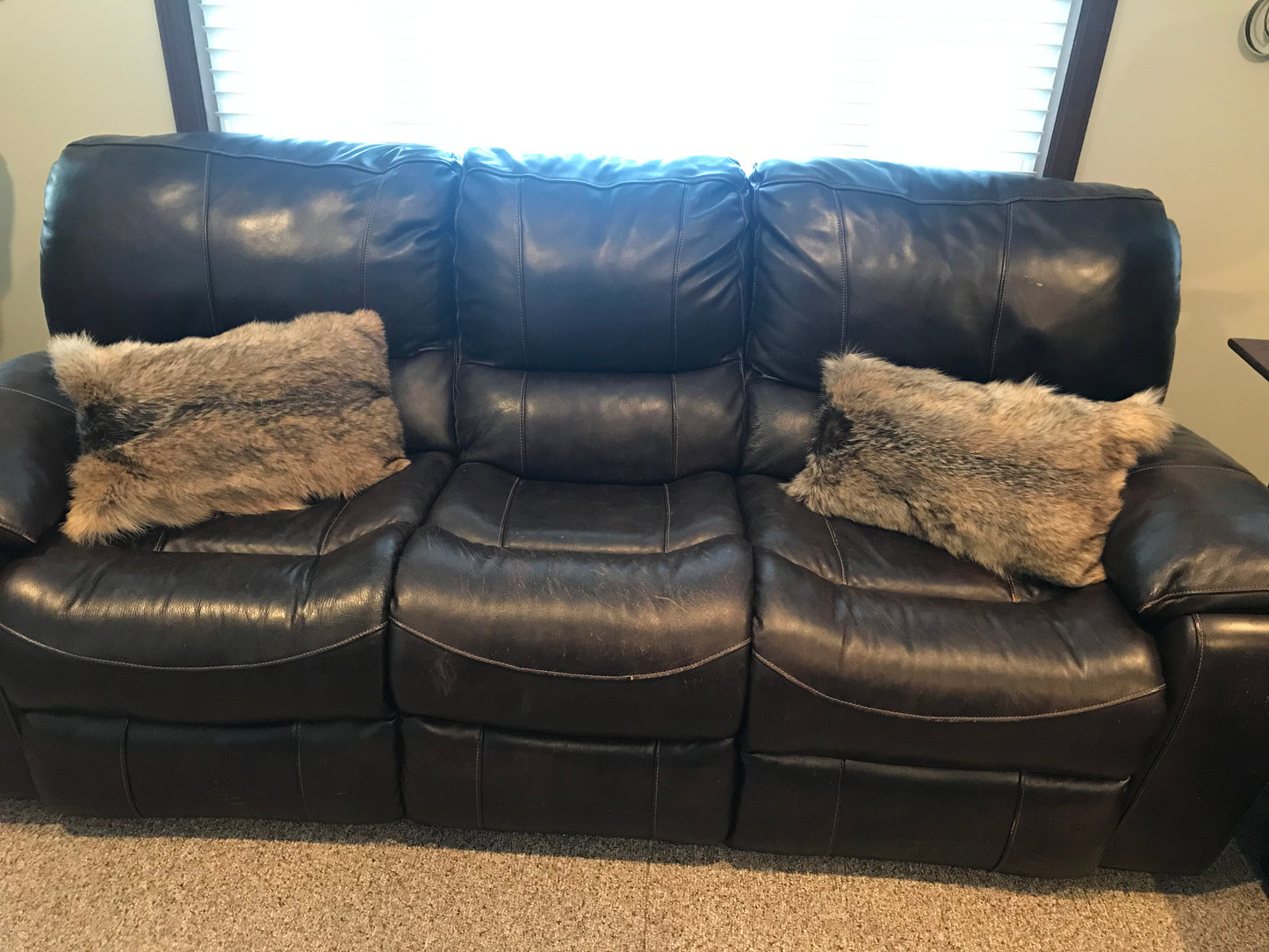 Coyote Pillow (Large)