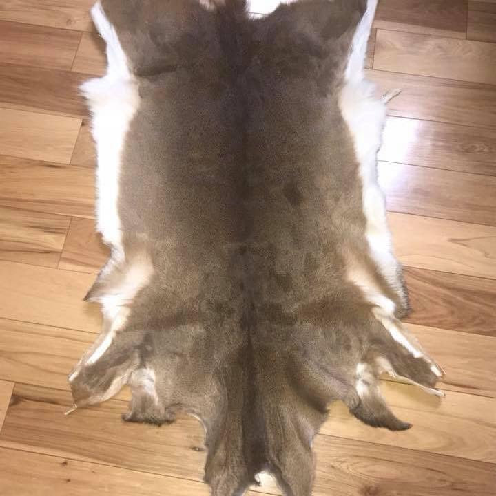 Garment Tanned Deer Hide