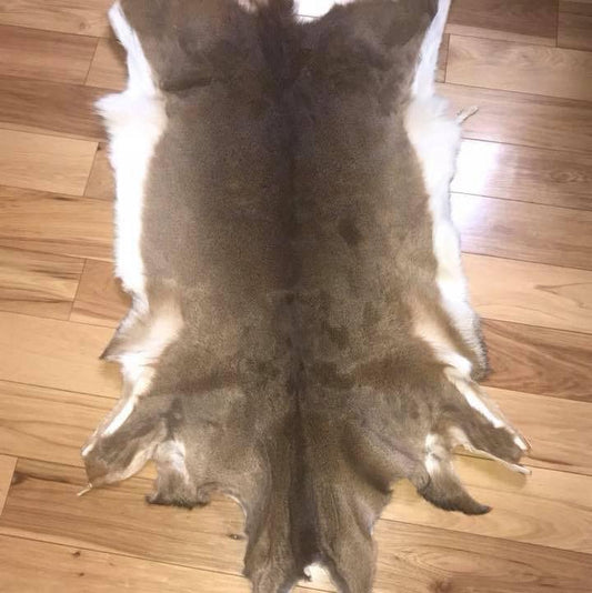 Garment Tanned Deer Hide